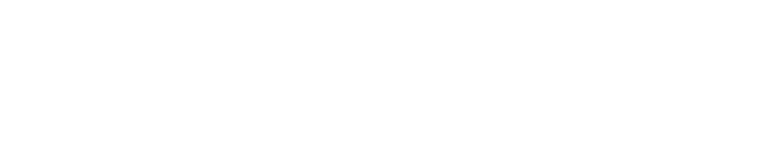 CFO Strategic Risk Report: Risk velocity and the impact on business